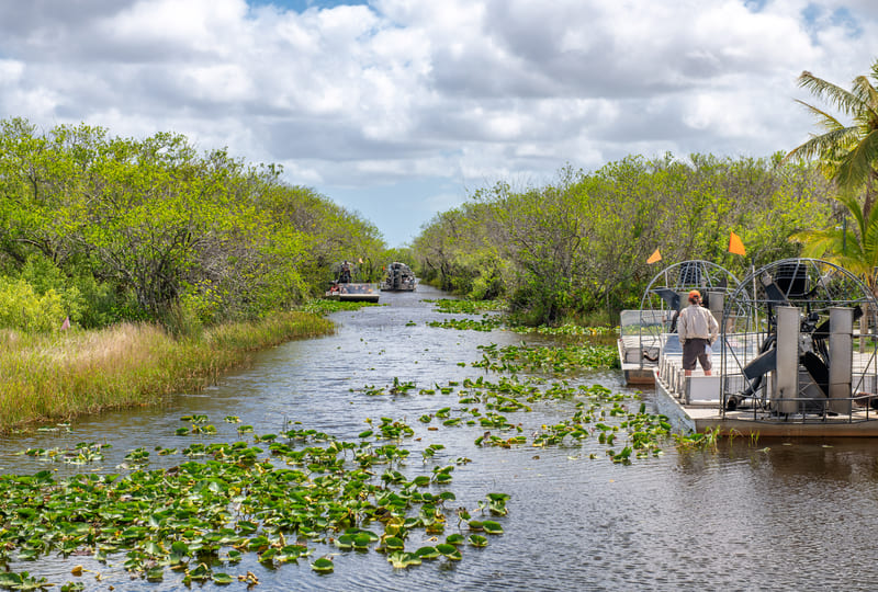The Everglades Explained
