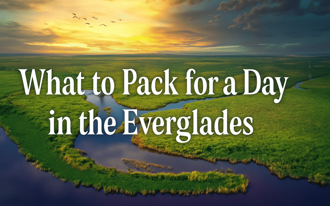 What to Pack for a Day in the Everglades