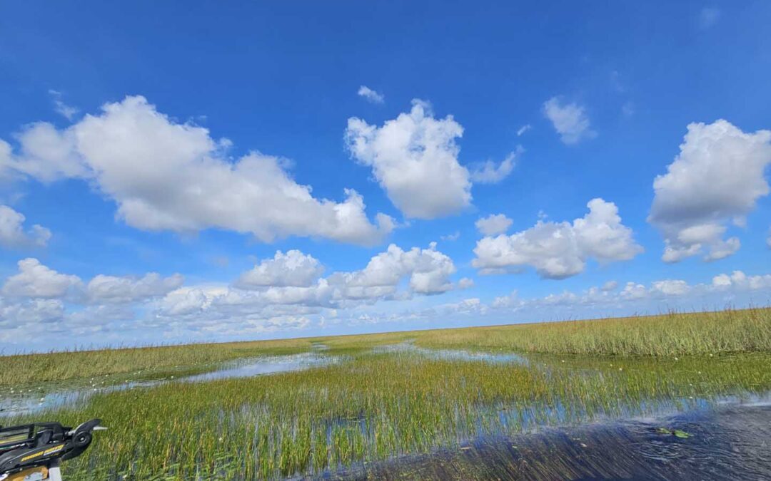 Private vs. Shared Everglades Airboat Tours: Which Experience is Right for You?