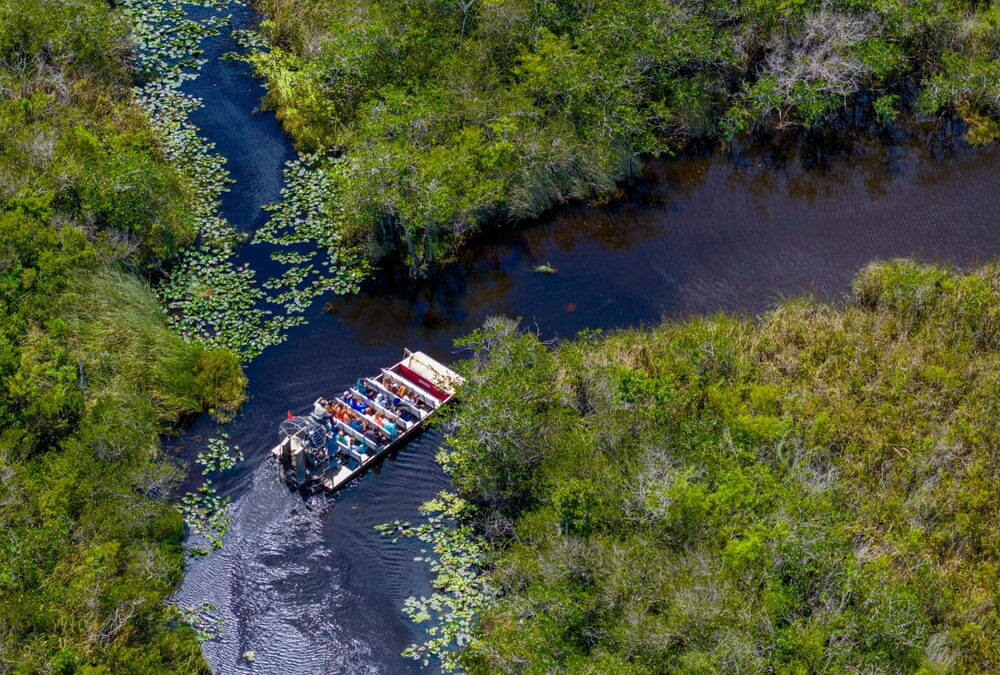 The Ultimate Guide to the Best Everglades Airboat Tours from Miami (What to Expect & How to Book)